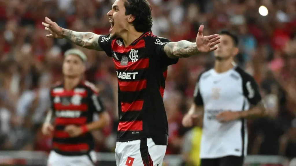 pedro flamengo onde assistir